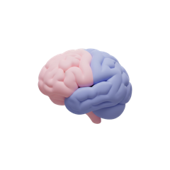 Icono Cerebro 3D